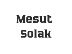 Mesut solak