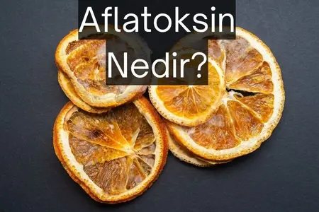 aflatoksin nedir? Nasıl anlaşılır?