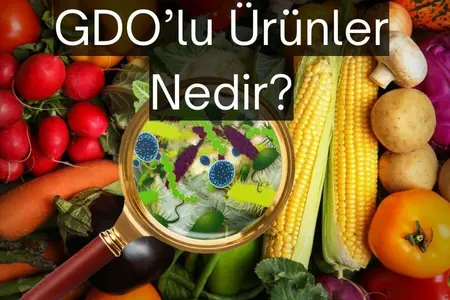 gdolu ürünler nedir?